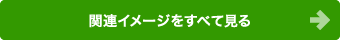 新作イメージをすべて見る