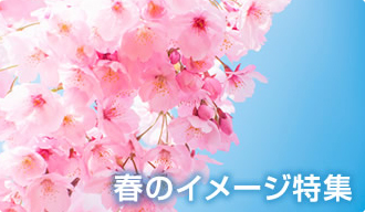 春のイメージ特集［food images］